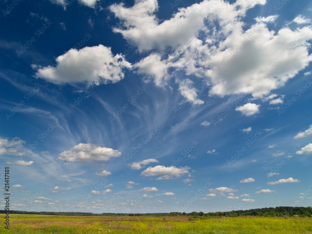 Deep blue sky with green field