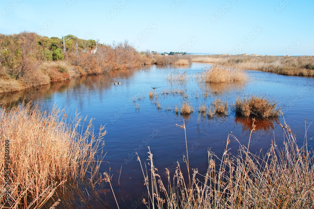 wetlands