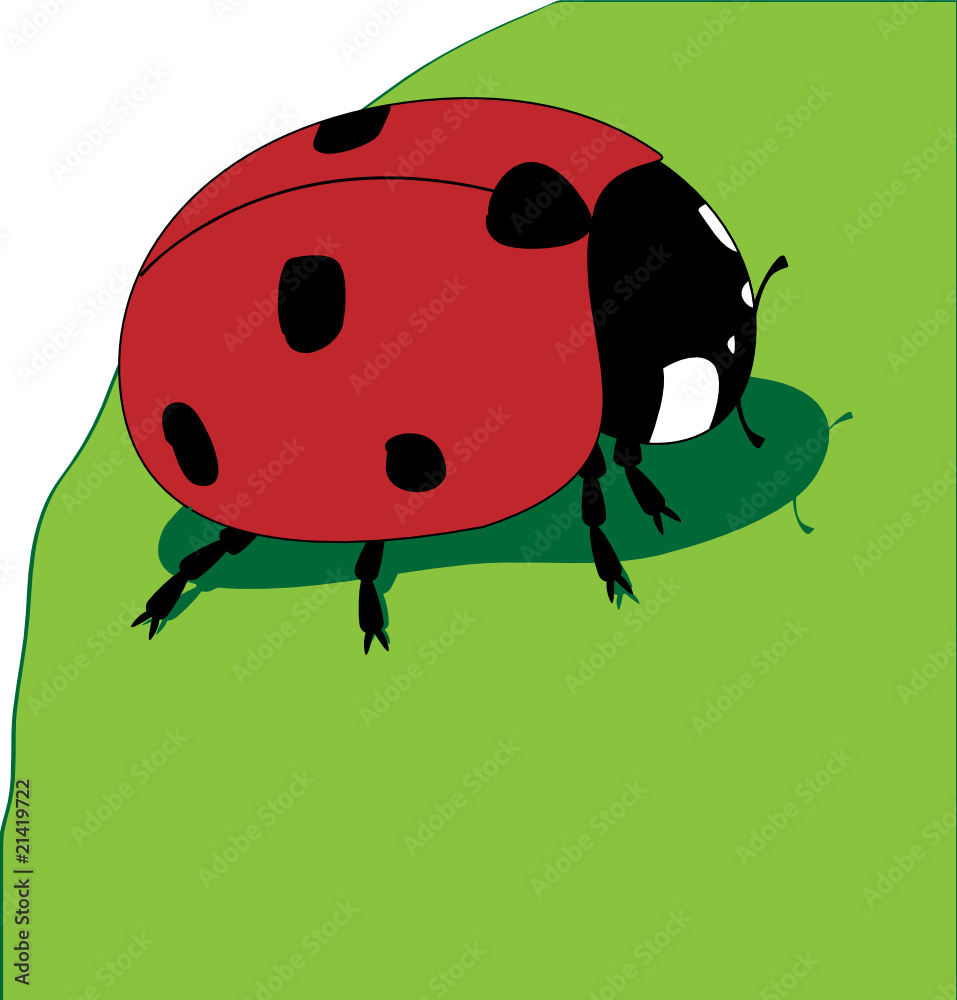 Obraz premium Ladybird on green leaf