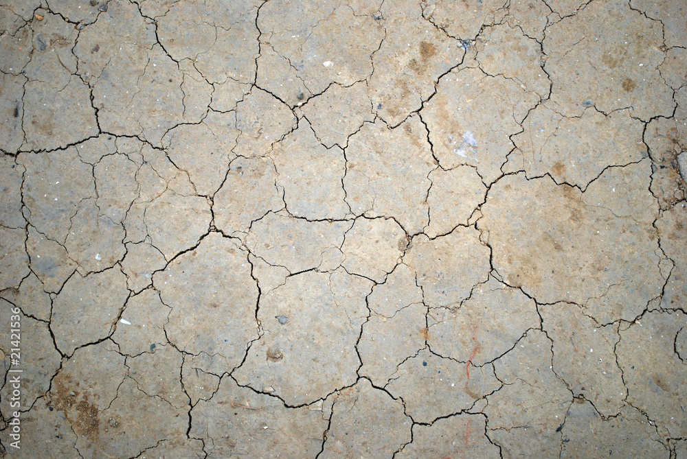 Fototapeta premium cracked earth
