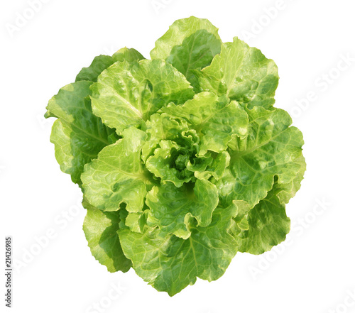 Obraz na płótnie Lettuce w salonie