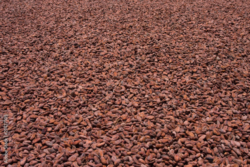 Cocoa beans from Madagascar