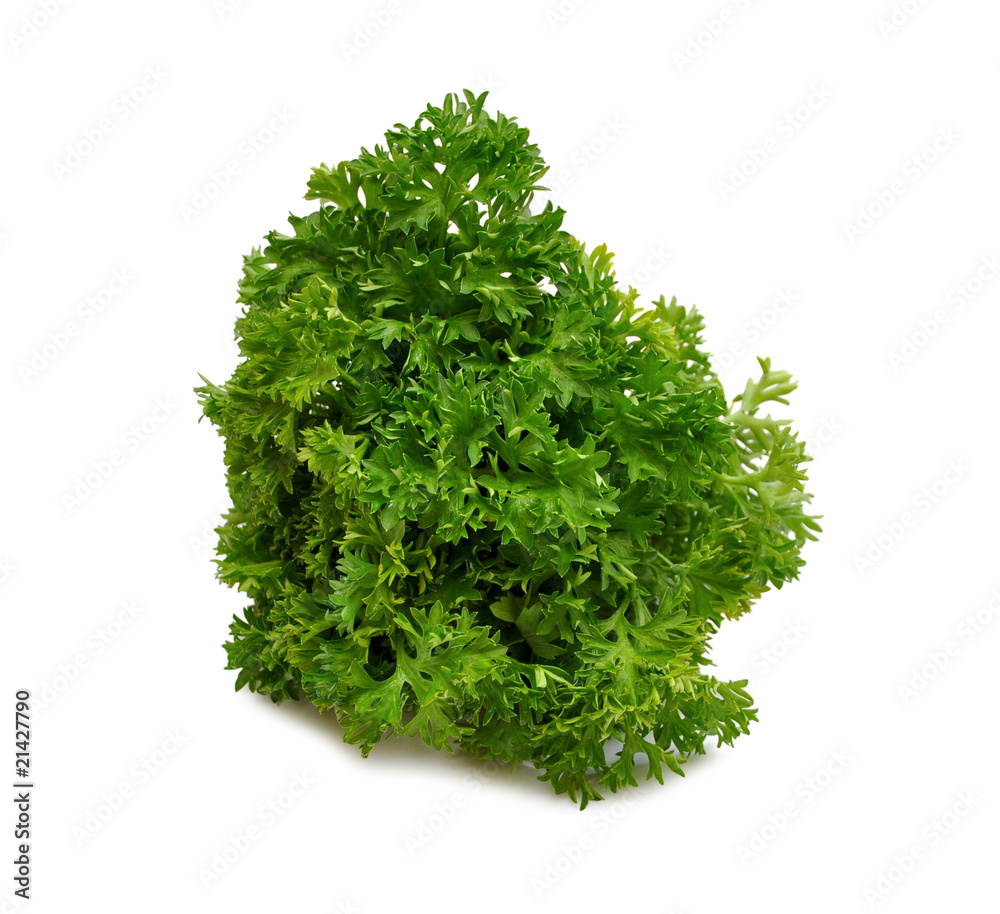 Obraz premium parsley