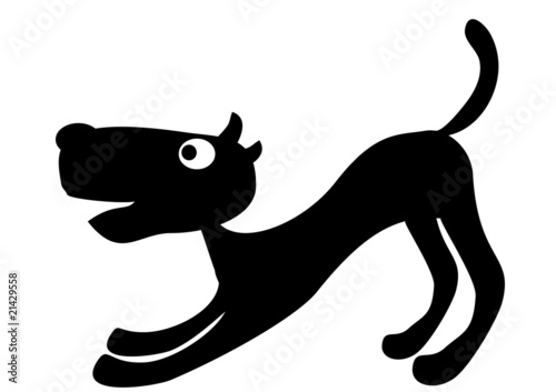 Black puppy