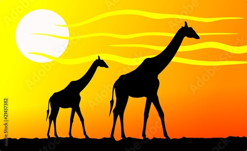 Giraffe savana