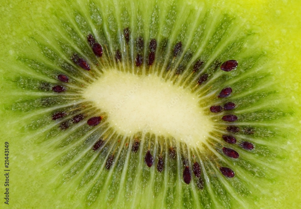 Kiwi background