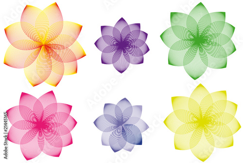 Floral variations