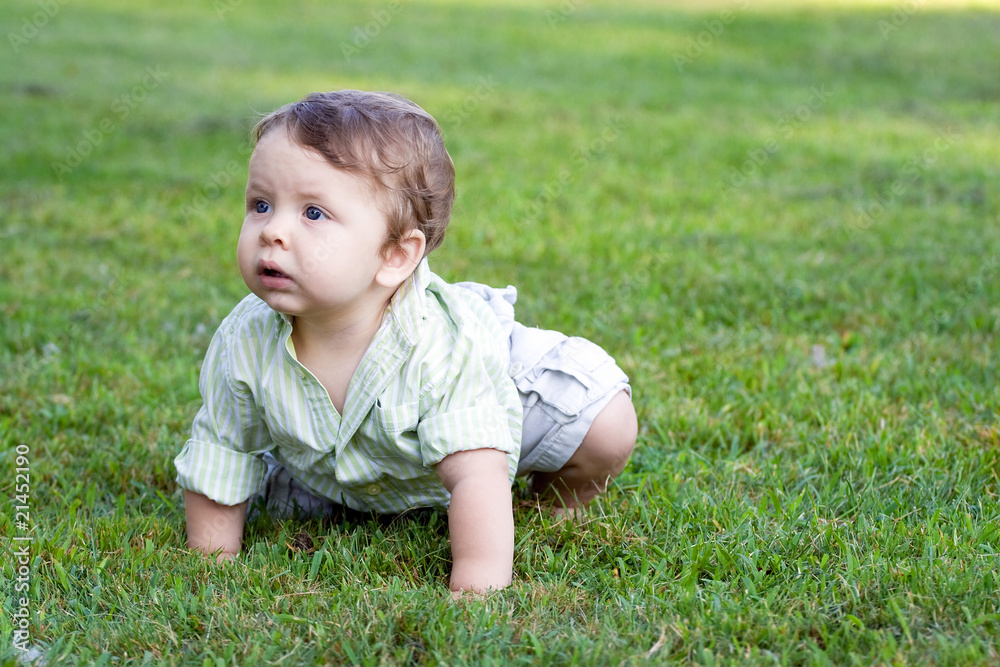 Baby Boy Crawling Baby Boy Crawling