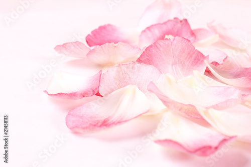 floral petals © mitarart