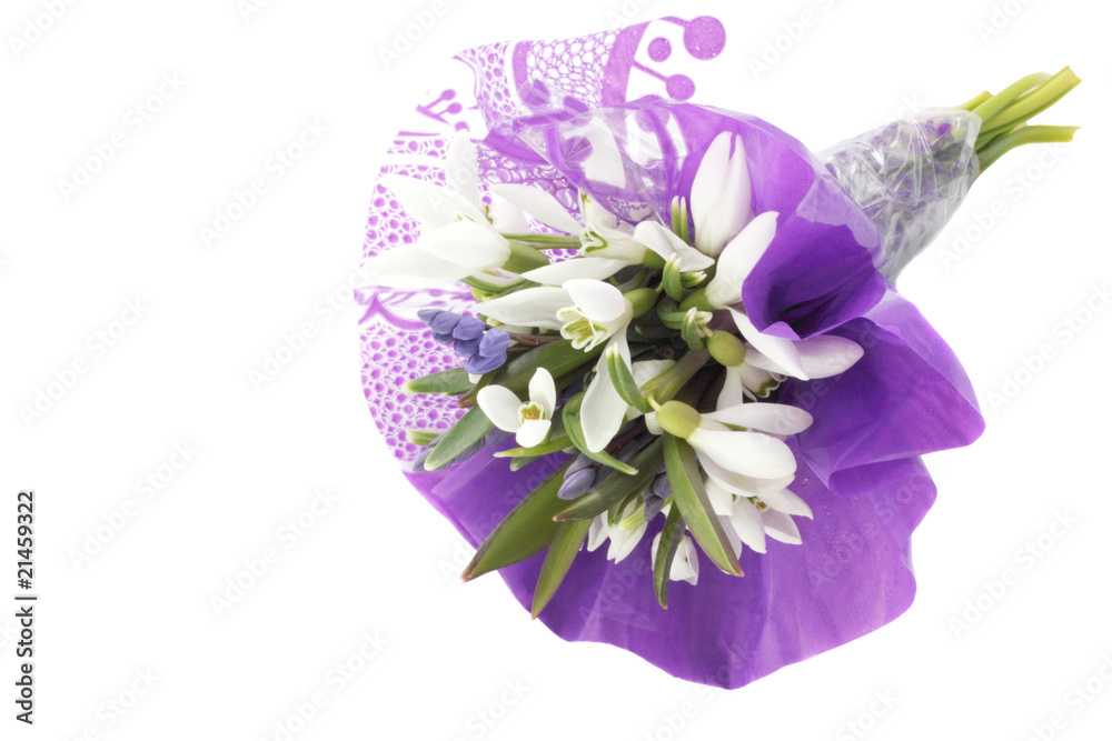 Obraz premium bouquet of snowdrops