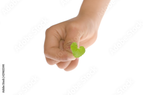 green hart leaf
