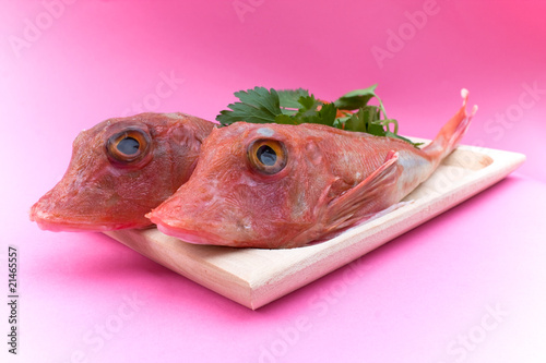 Foto Plate With Red Gurnards