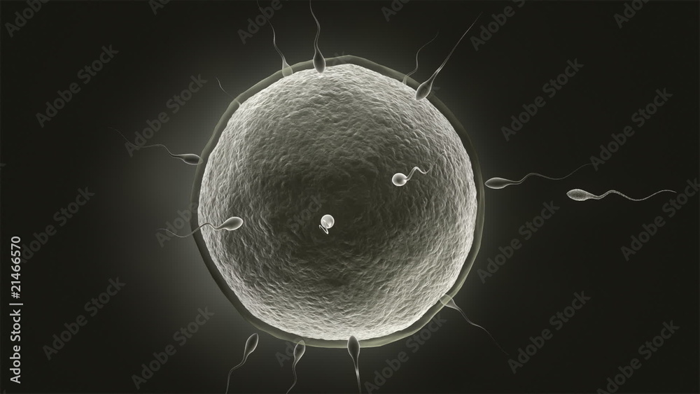 Sperm close to human egg