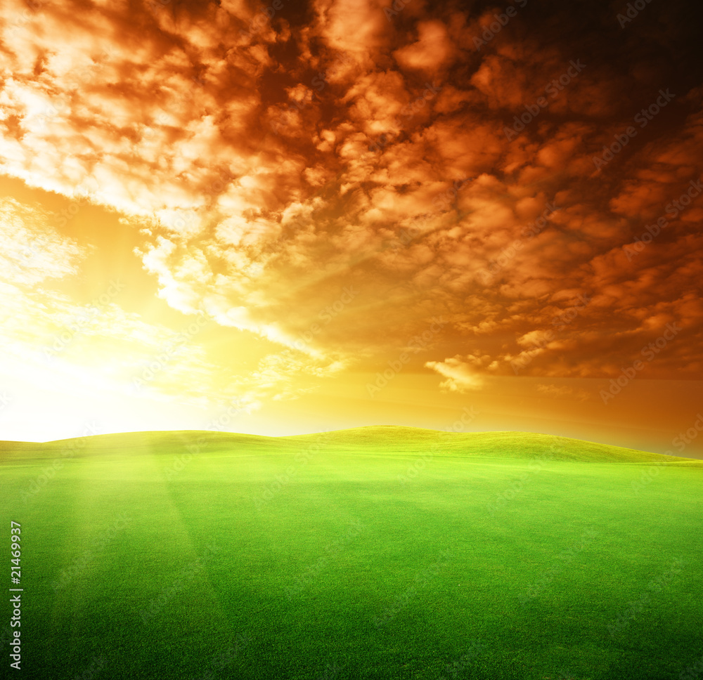 field of grass and perfect sunset sky