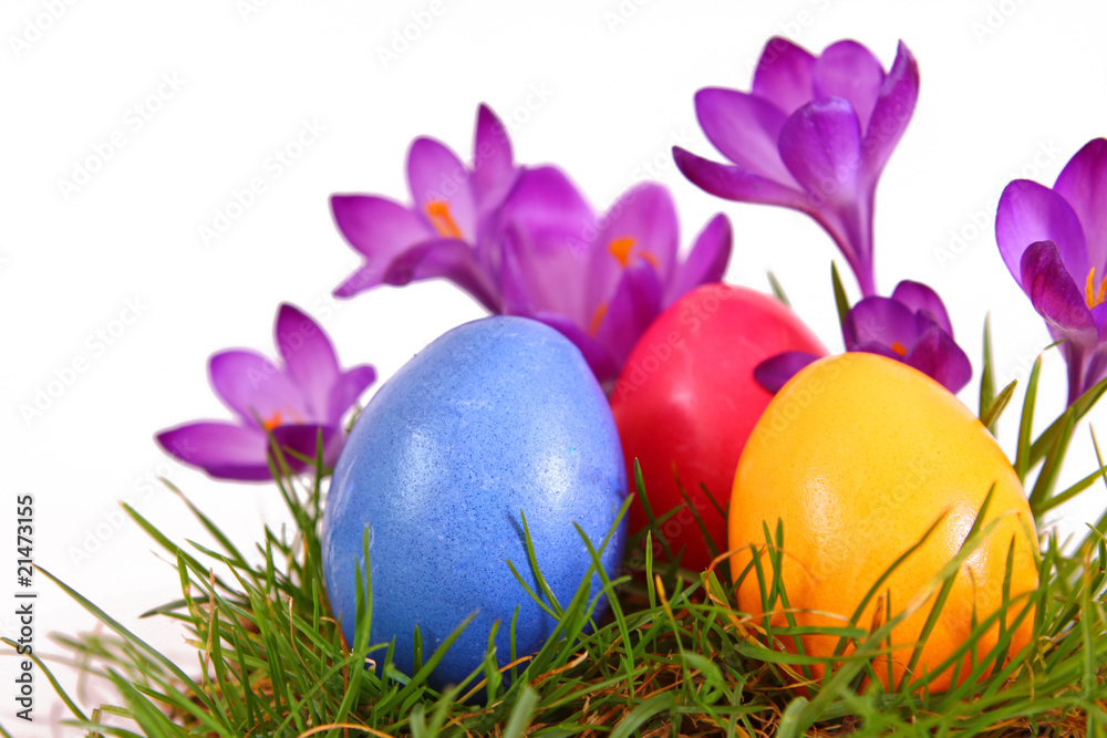 bunte ostereier,ostern