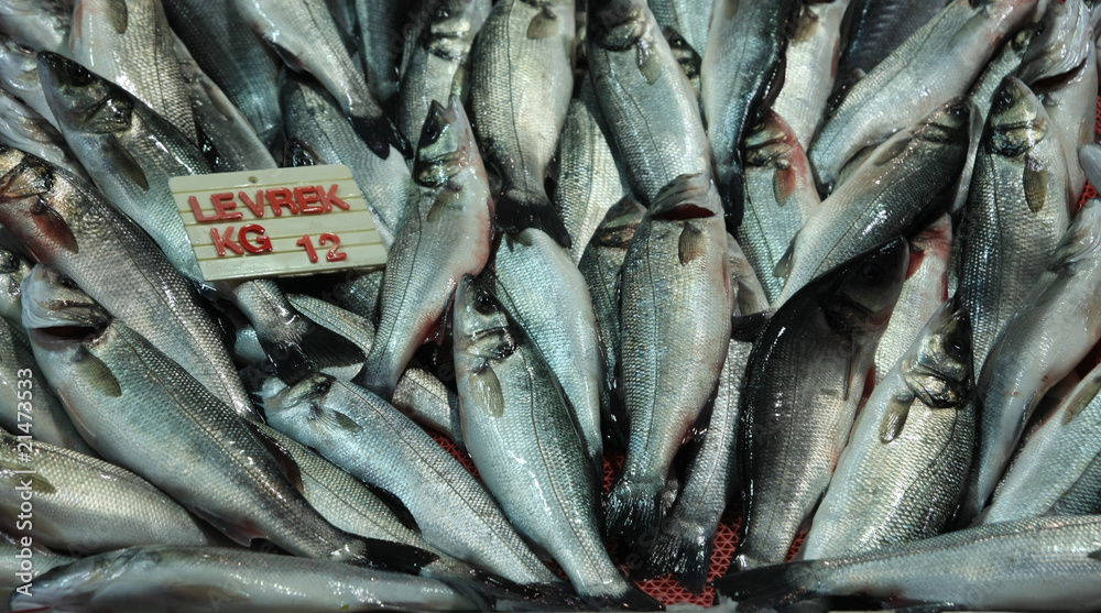 Obraz premium Seabass in the fish market