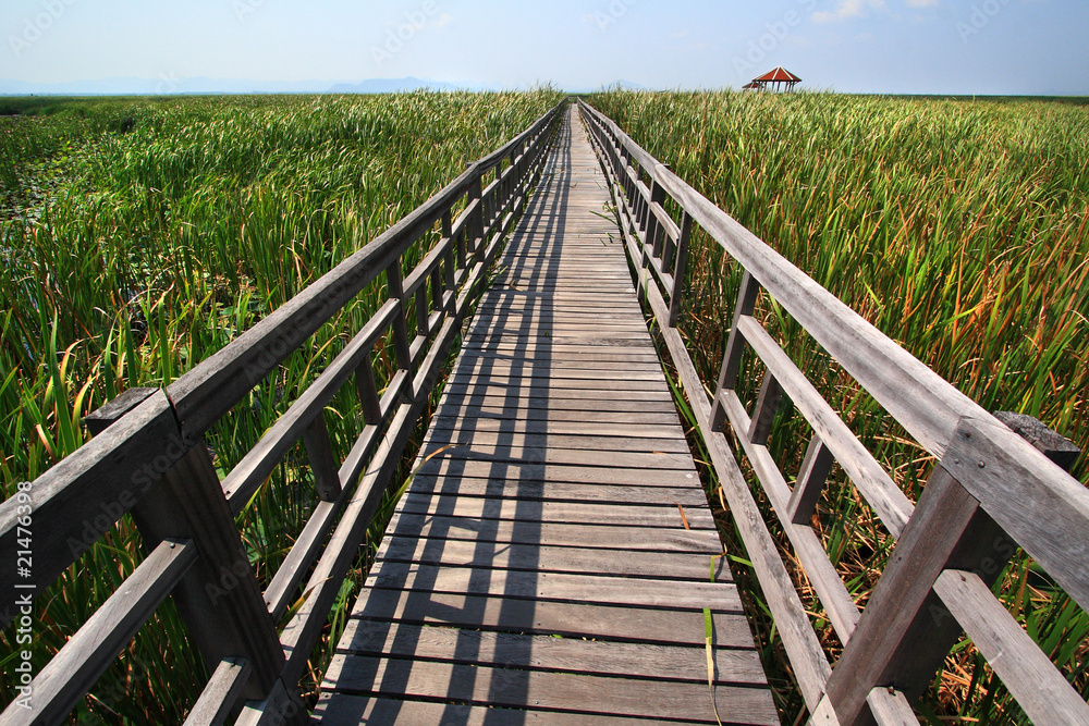 Wood bridge,Thailand