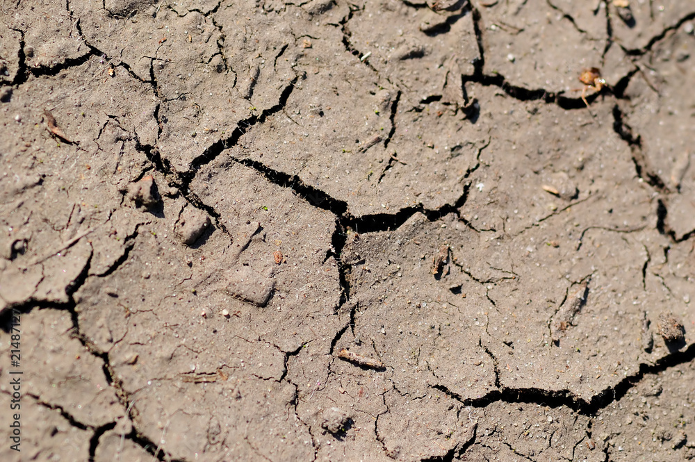 Fototapeta premium Cracked gray ground