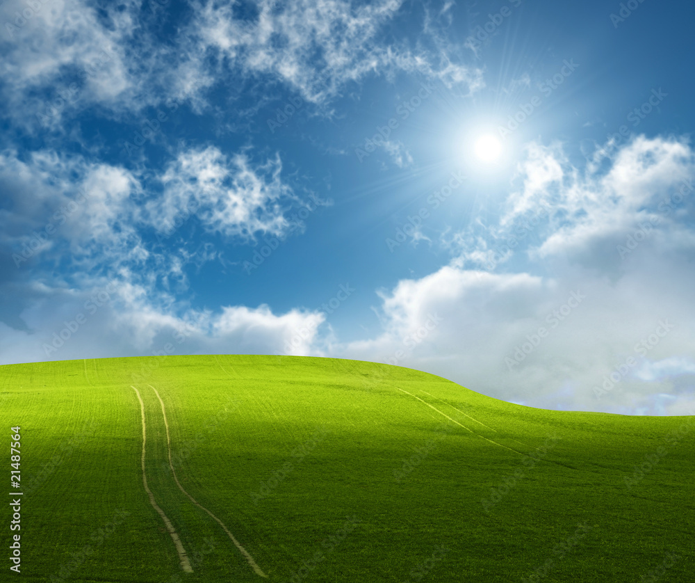 Fototapeta premium Bright sunshine over a green hill