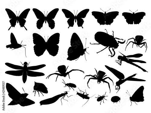 insect silhouette set