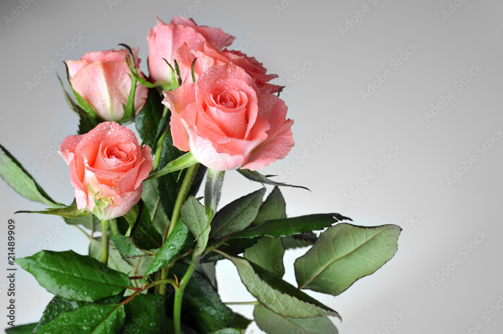 Bunch of roses Bunch of roses
