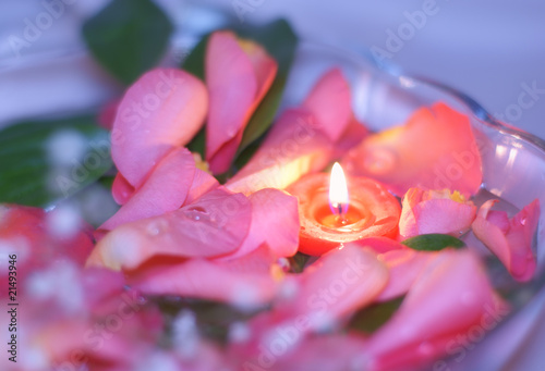 Burning candle and rose petals. photo