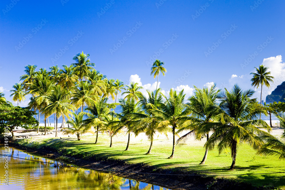 Obraz premium Maracas Bay, Trinidad