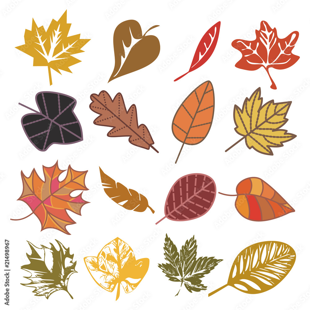 Fototapeta premium set of autumn leaves