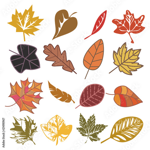 set of autumn leaves