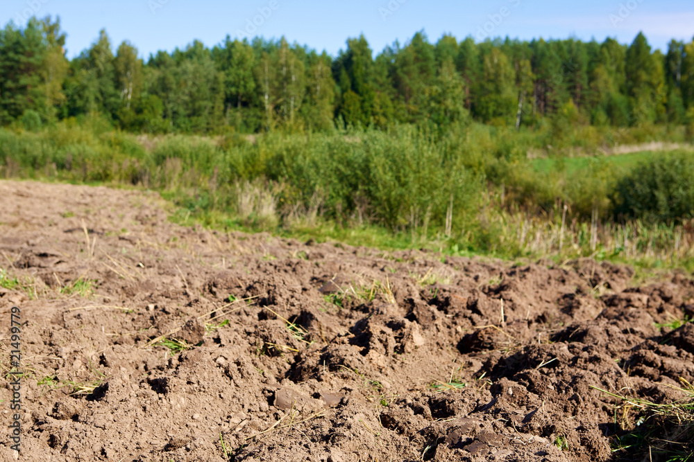 arable land on forest and sky background arable land on forest and sky background