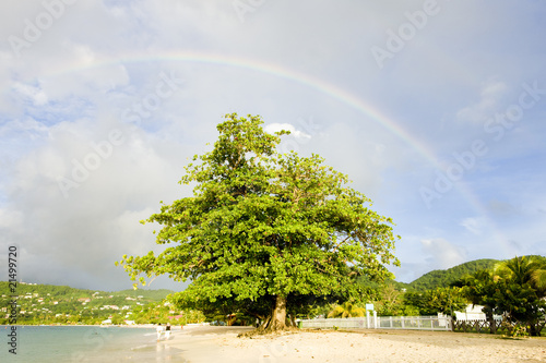 rainbow over Grand Anse Bay, Grenada photo