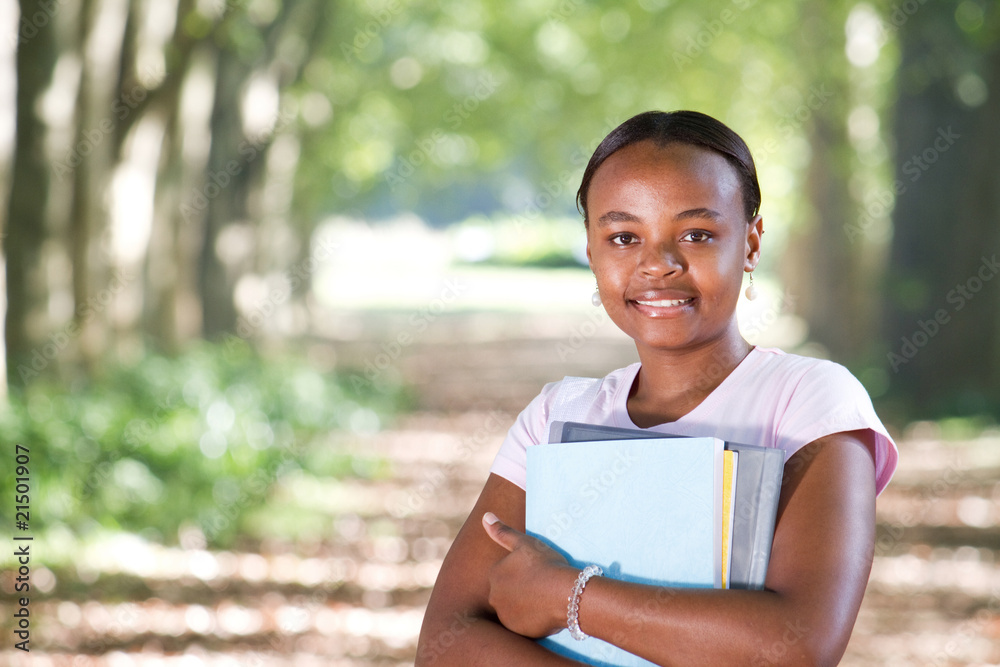 Fototapeta premium african american college student