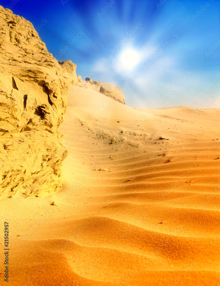 Fototapeta premium desert