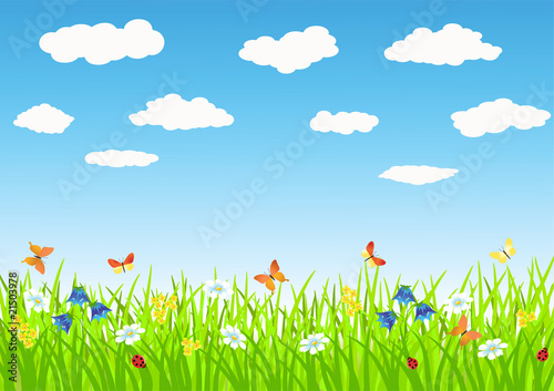 Meadow.