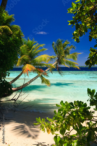 Tropical Paradise at Maldives