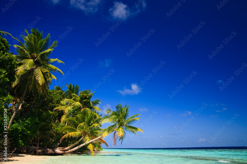 Obraz premium Tropical Paradise at Maldives