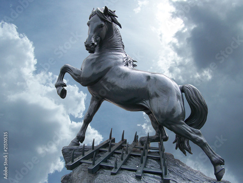 statua cavallo photo