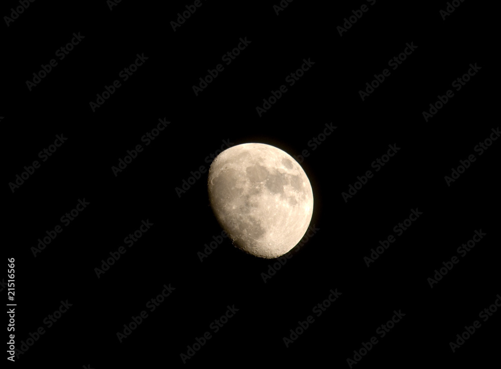 moon moon