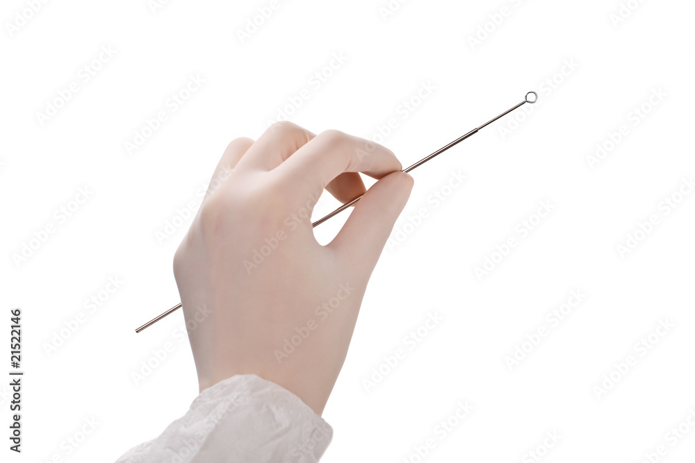 Φωτογραφία microbiology loop in gloved hand