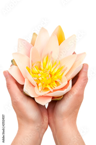 Lotus in woman's hands