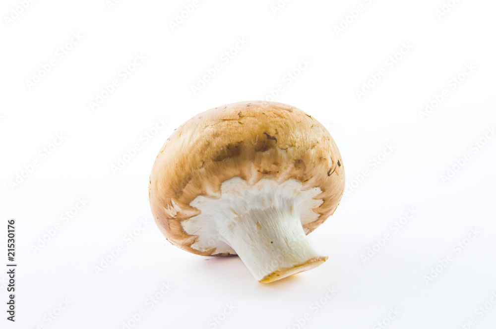 Fototapeta premium Champignon