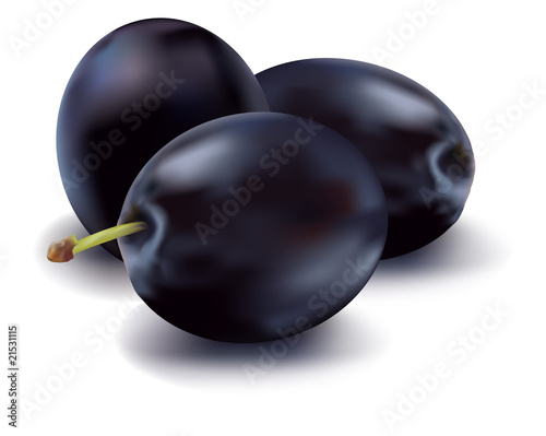 Photo-realistic vector illustration of the three plums.