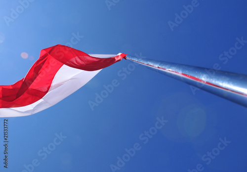 polska flaga photo