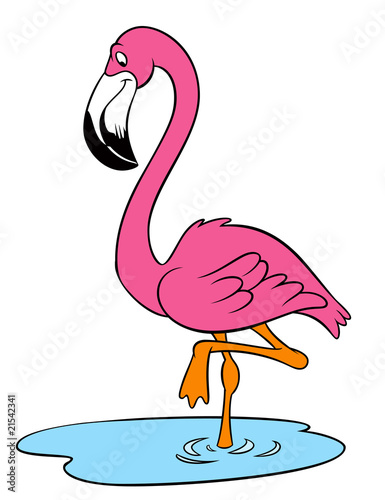 flamingo