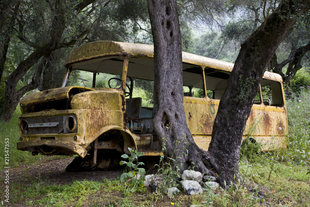 Abandoned school bus