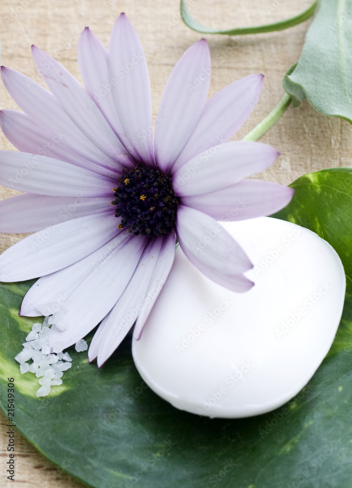 fiore lilla e sapone