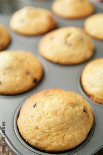 Muffins in a pan