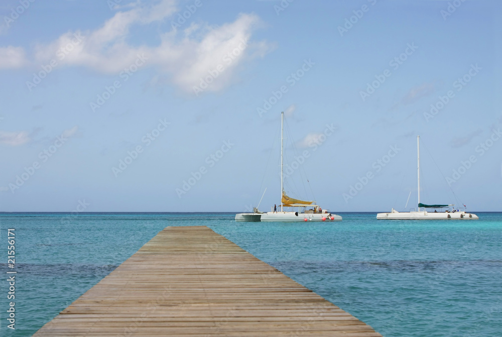 Obraz premium bayahibe footbridge