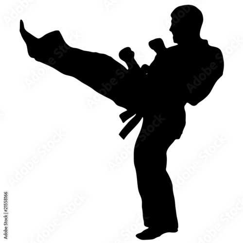 MARTIAL ARTS high kick.Vector.