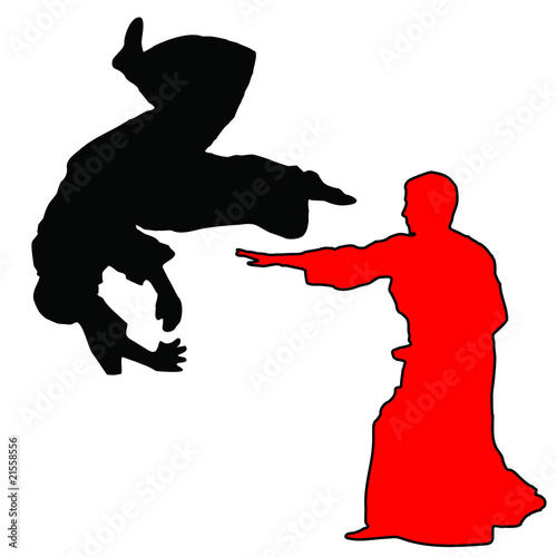 MARTIAL ARTS - AIKIDO